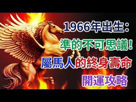 67年次屬馬|屬馬今年幾歲 馬年是民國西元哪幾年